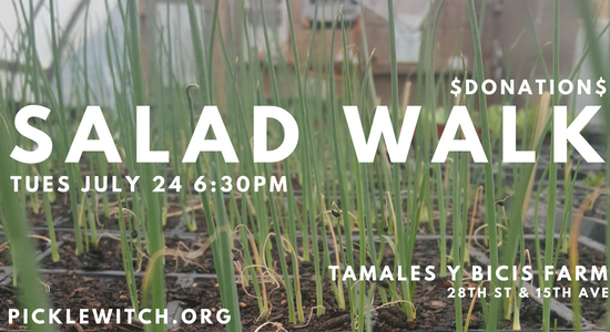 Salad walk flyer with white text on green onoins